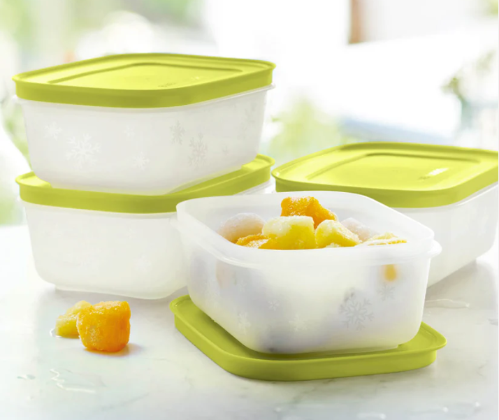 Tupperware® Freezer Mates® PLUS Small Shallow | 4-Piece Container Set